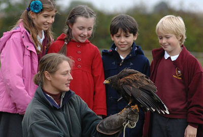 Hatton Adventure World Falconry Attraction