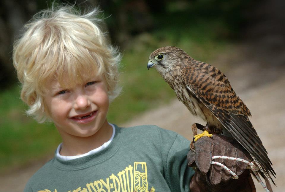 Hatton Adventure World Falconry Center