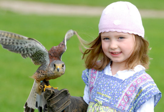 Girl With Falcon