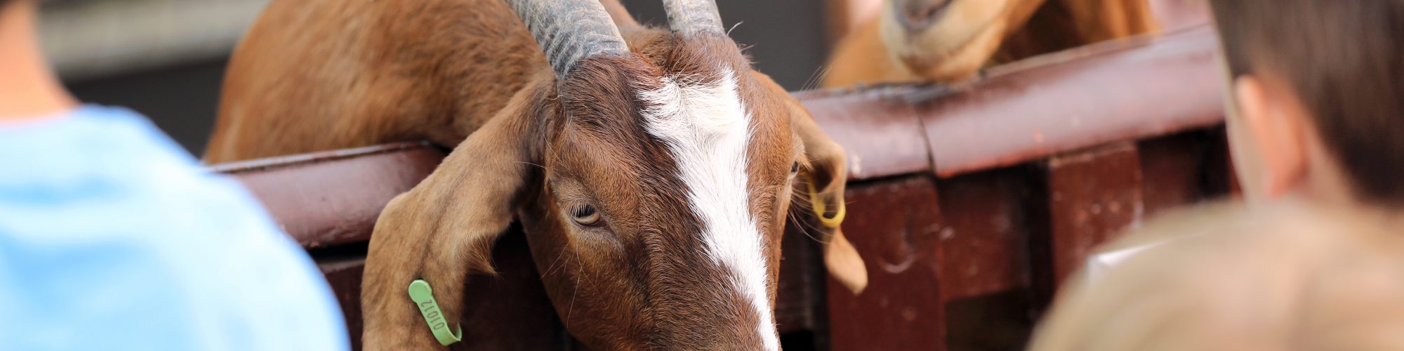 List of Activities, Prices and Opening Times Hatton Adventure World