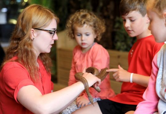 School Snake Handling