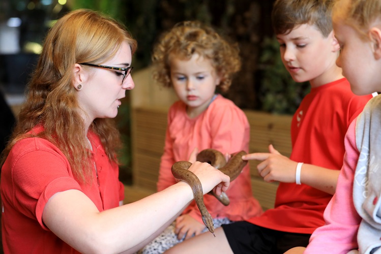 School Snake Handling