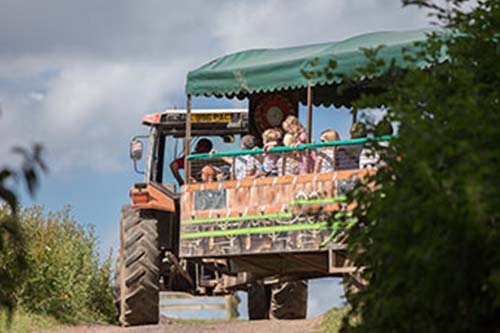 Hatton Adventure World Tractor Safari