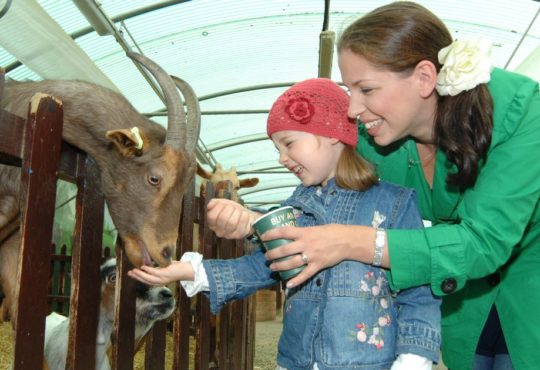 Hatton Girl Feeding Goat