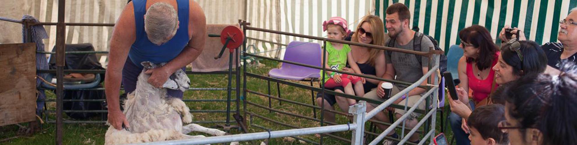 Hatton Adventure World