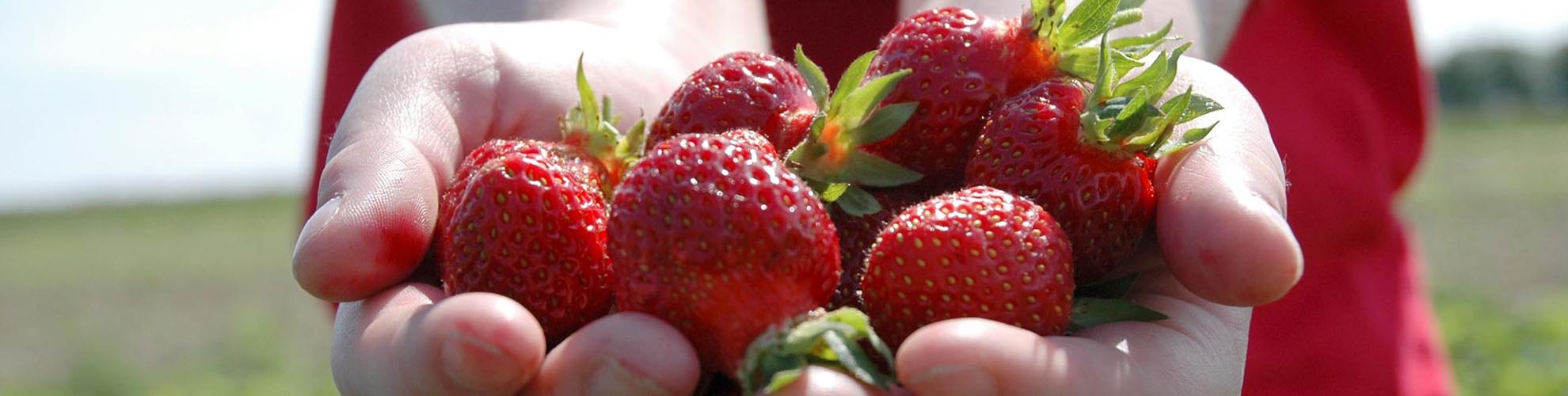 Hatton Adventure World