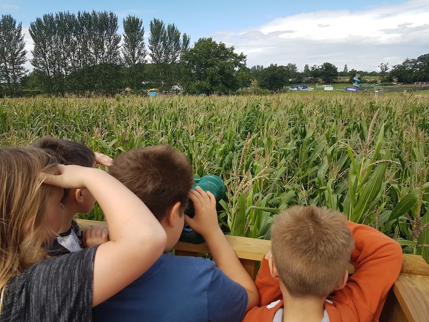 Hatton Maize Maze