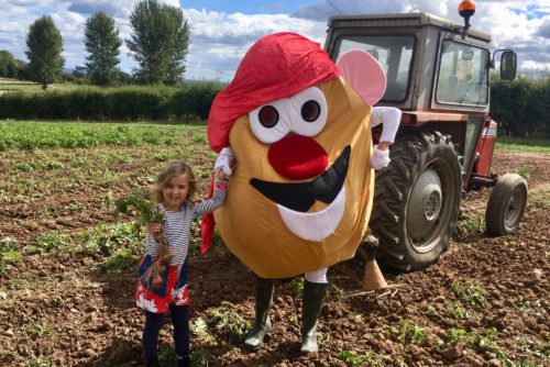 PYO Potatoes at Hatton Farm