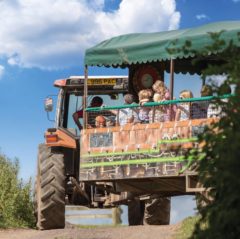 Hatton Adventure World Tractor Safari