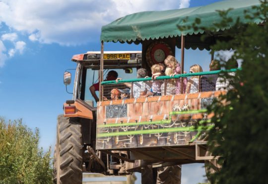 Hatton Adventure World Tractor Safari