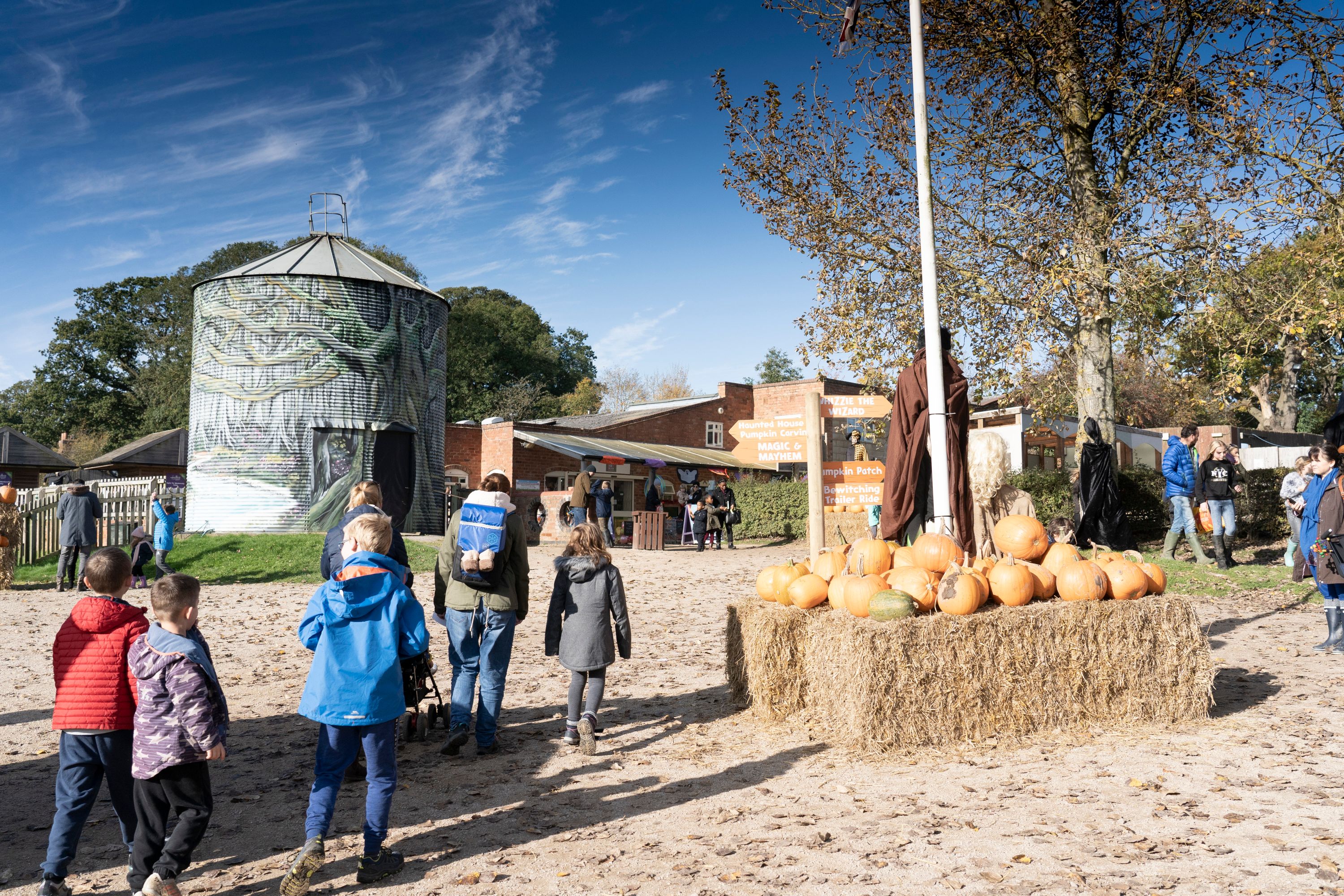 pumpkin picking