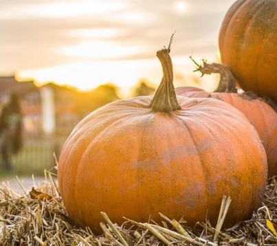 pumpkin and sunset