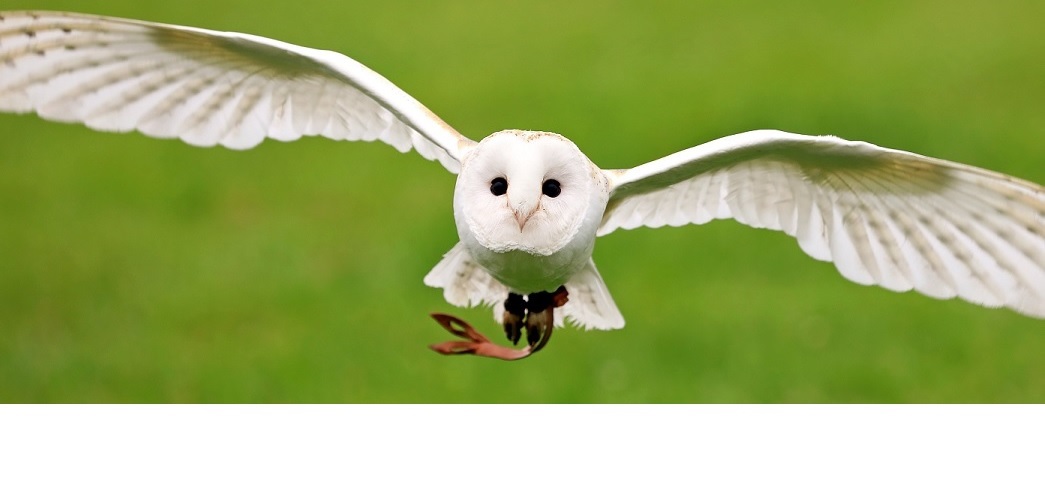 Hatton Adventure World