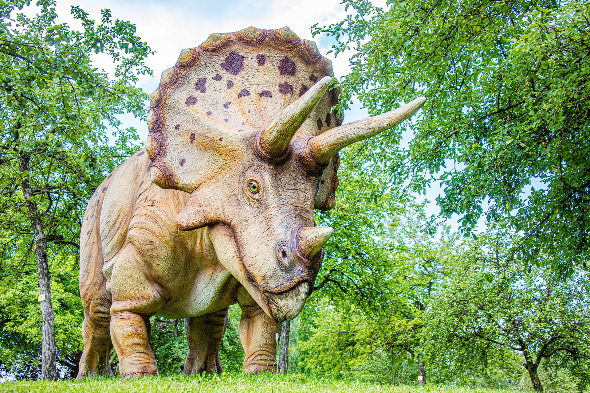 triceratops dinosaur costume