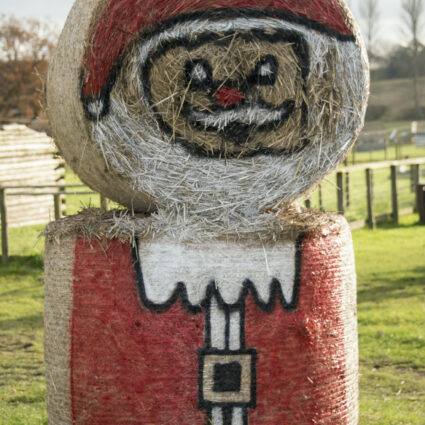 Father Christmas