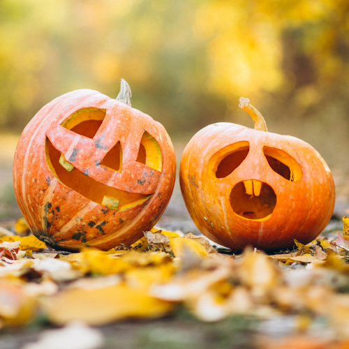 Carved pumpkins