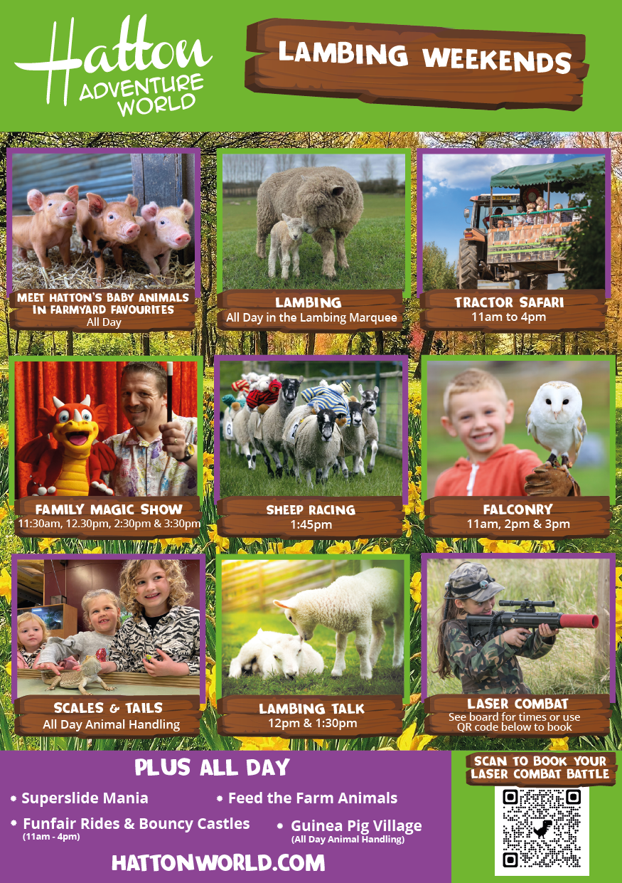live lambing weekend